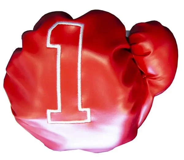 Longridge Boxing Gloves Wood Cover - Image 2